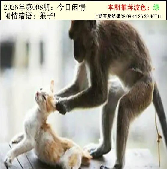 098期今日闲情2[图]