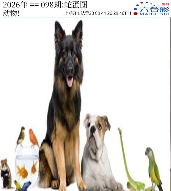 098期正版蛇蛋图[图]